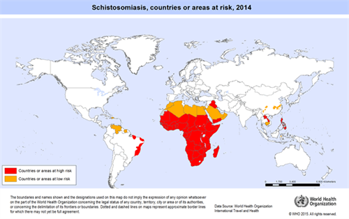 Schistosomiasis